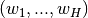 (w_1,...,w_H)