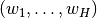 (w_1,\dots,w_H)