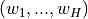 (w_1,...,w_H)