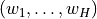 (w_1,\dots,w_H)