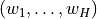 (w_1,\dots,w_H)